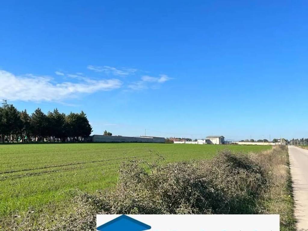 terreno agricolo in vendita a Foggia