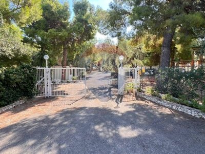 negozio in vendita a Foggia