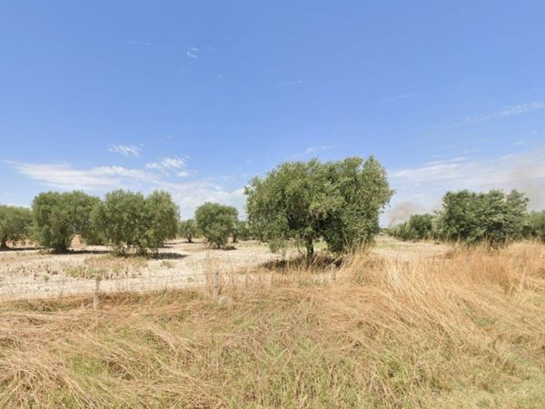 terreno agricolo in vendita a Foggia in zona Arpinova
