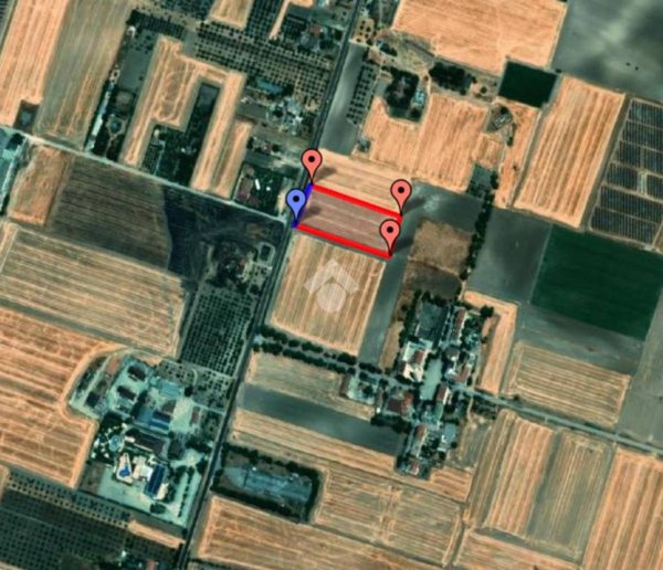 terreno agricolo in vendita a Foggia