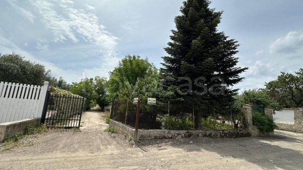 terreno agricolo in vendita a Foggia