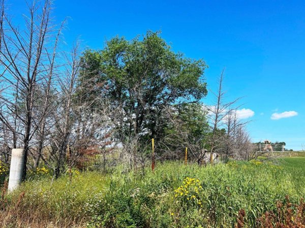 terreno agricolo in vendita a Foggia