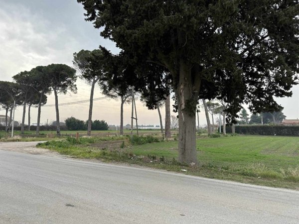 terreno agricolo in vendita a Foggia