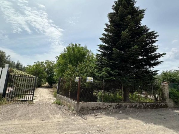 terreno agricolo in vendita a Foggia