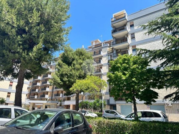appartamento in vendita a Foggia in zona San Ciro