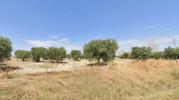 terreno agricolo in vendita a Foggia in zona Arpinova