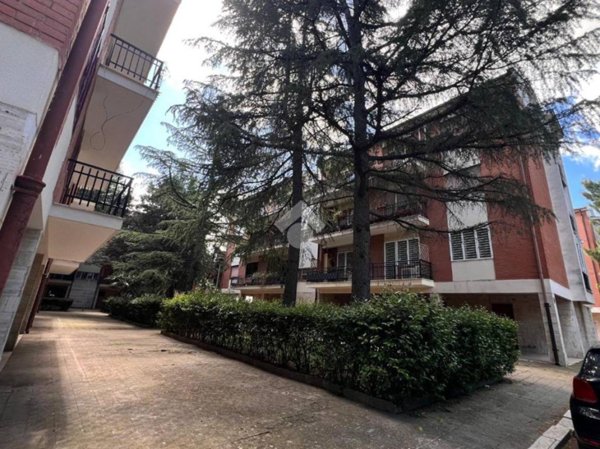 appartamento in vendita a Foggia in zona Immacolata / San Pio X