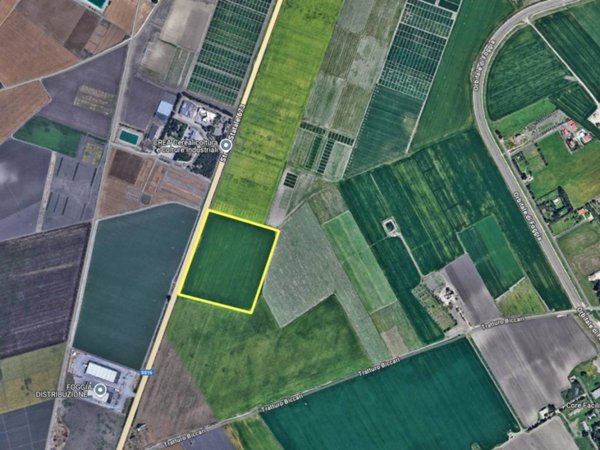 terreno agricolo in vendita a Foggia