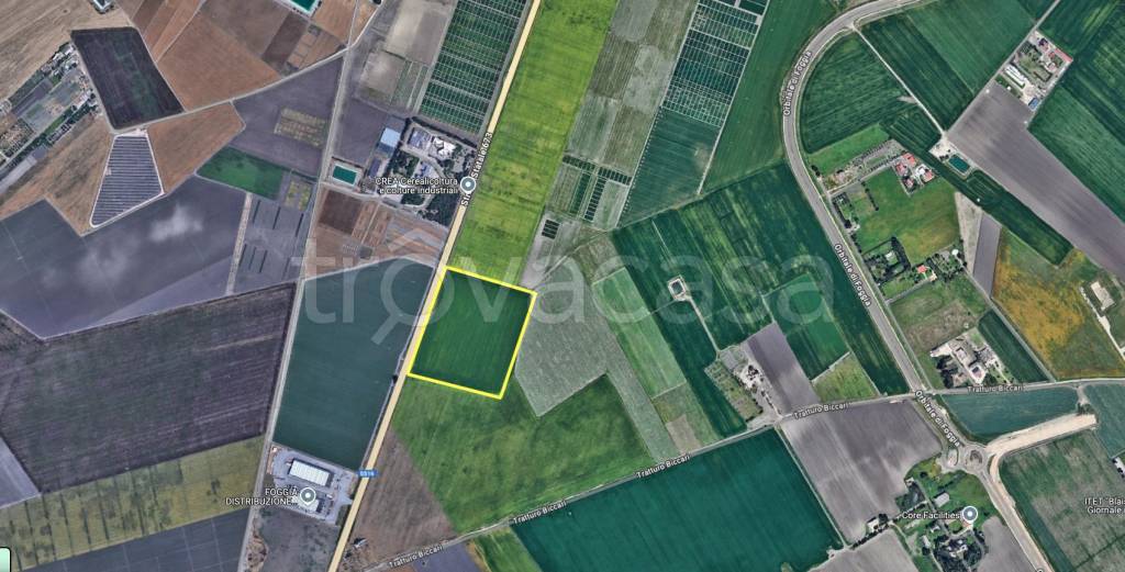terreno agricolo in vendita a Foggia