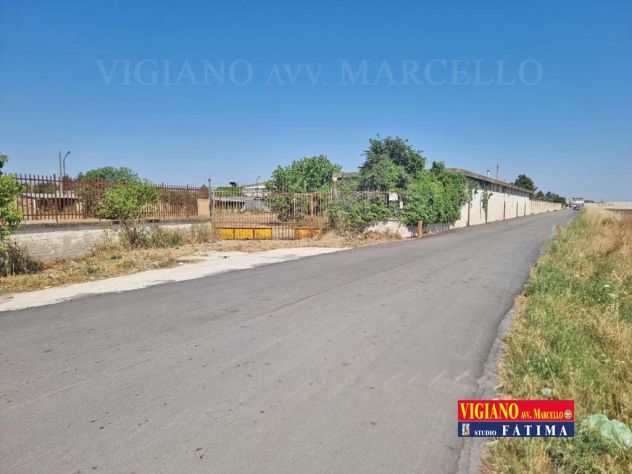 terreno agricolo in vendita a Foggia
