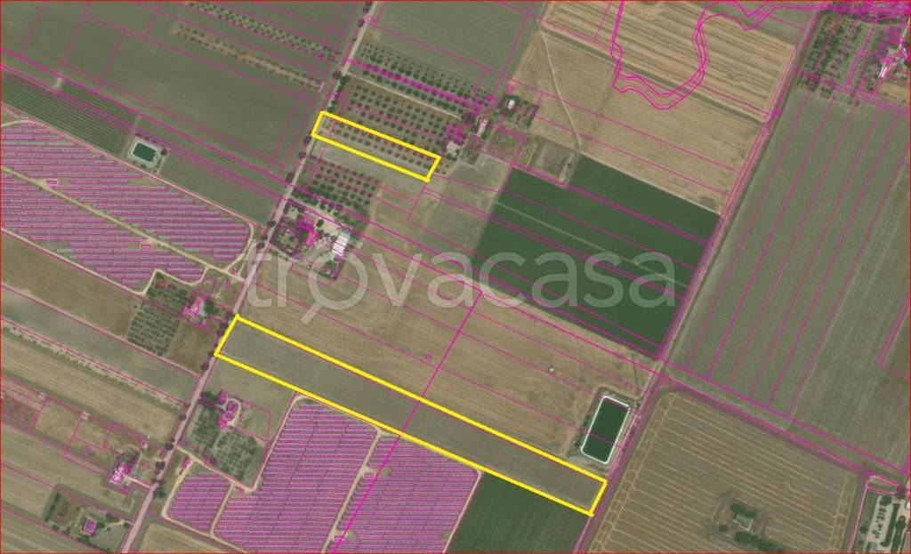 terreno agricolo in vendita a Foggia in zona Tavernola