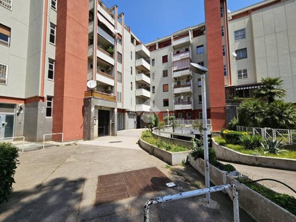 appartamento in vendita a Foggia in zona Macchia Gialla