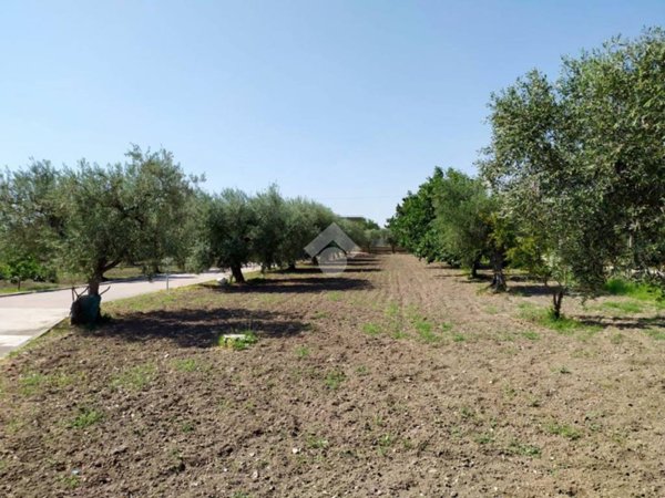 casa indipendente in vendita a Foggia