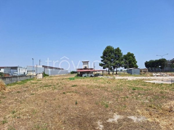 terreno agricolo in vendita a Foggia in zona Tavernola