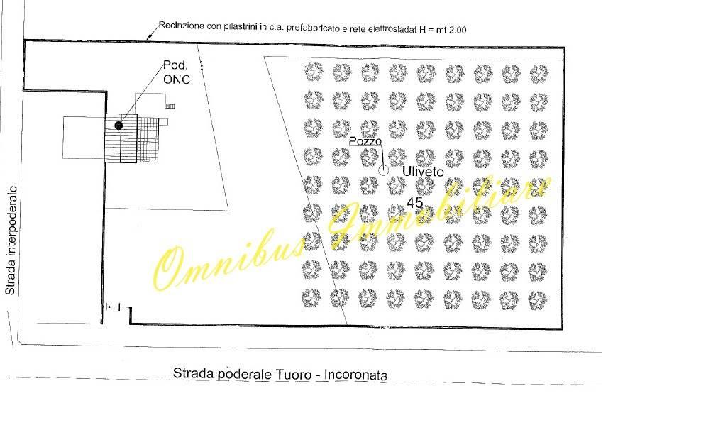 appartamento in vendita a Foggia in zona Incoronata