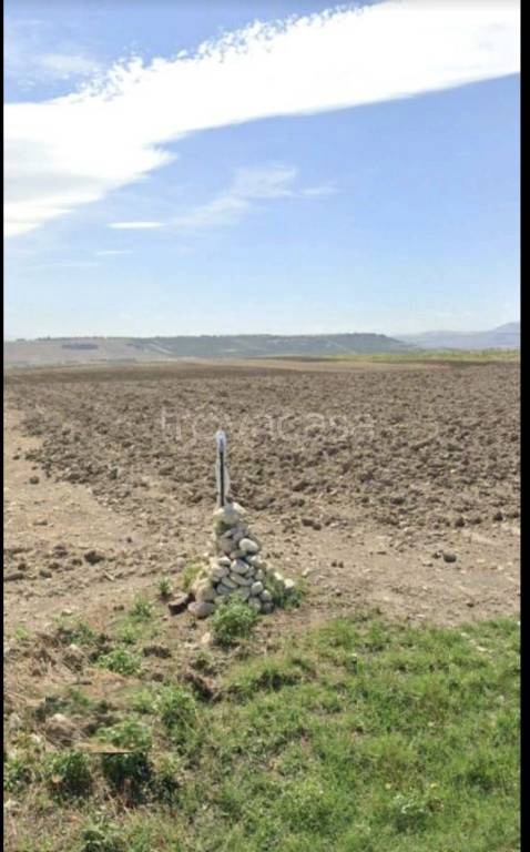 terreno agricolo in vendita a Foggia