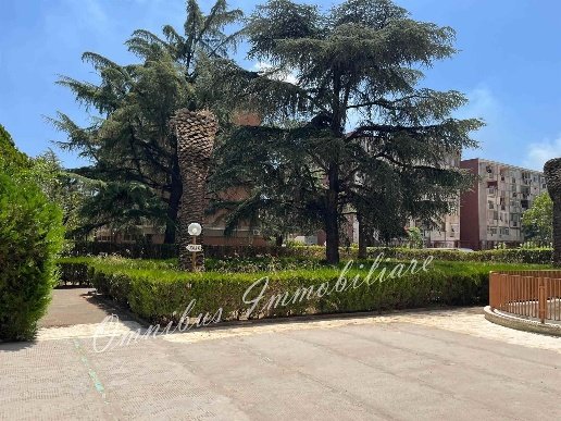 appartamento in vendita a Foggia in zona CEP