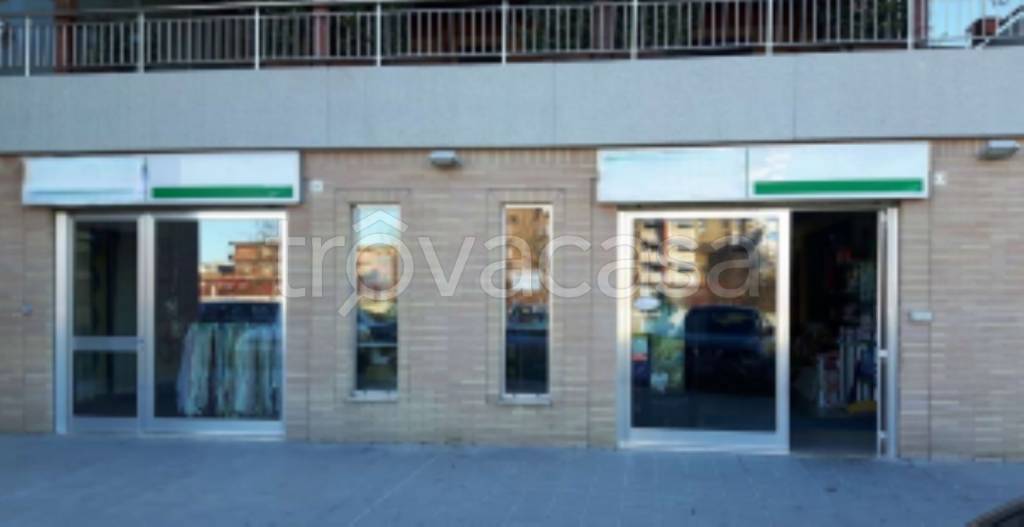 negozio in vendita a Foggia in zona Macchia Gialla