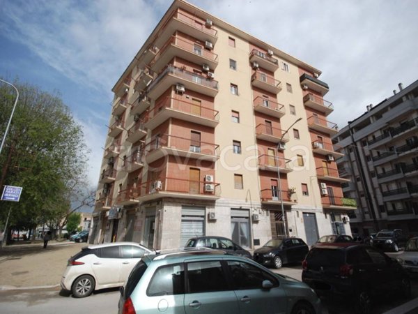 appartamento in vendita a Foggia in zona Centro Città