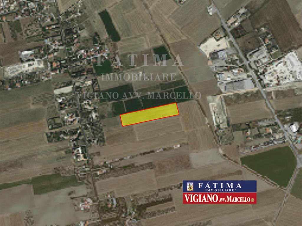 negozio in vendita a Foggia