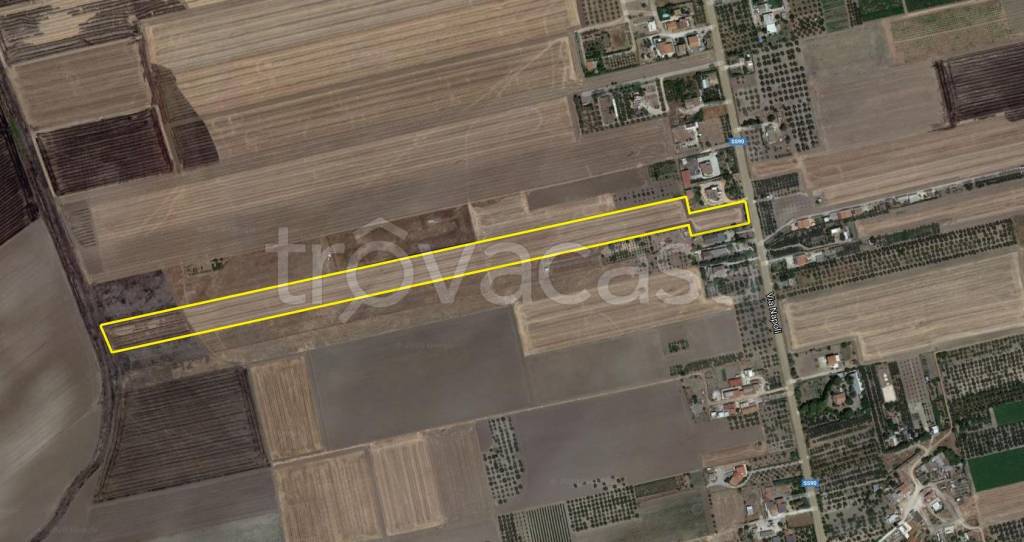 terreno agricolo in vendita a Foggia