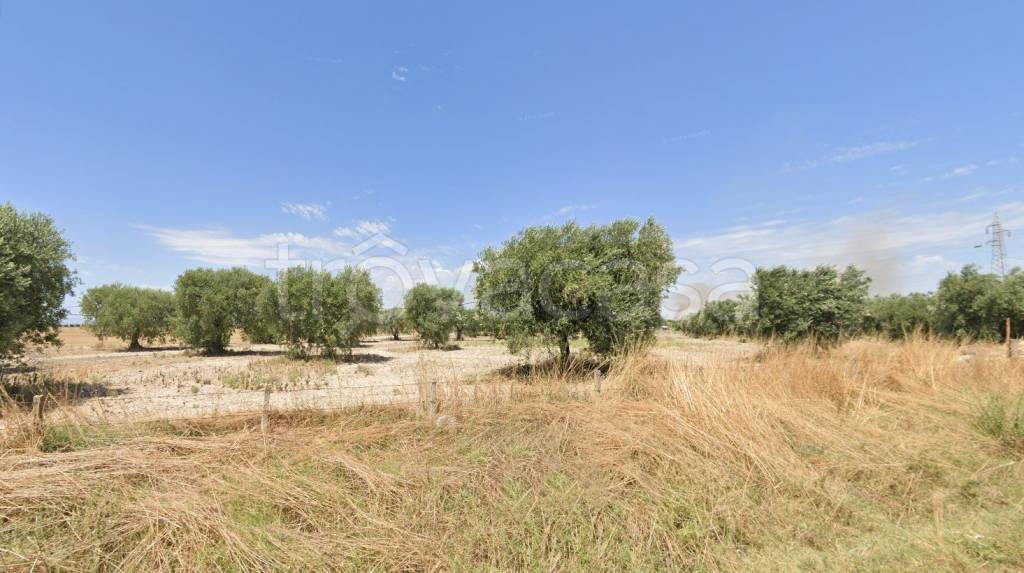 terreno agricolo in vendita a Foggia in zona Arpinova