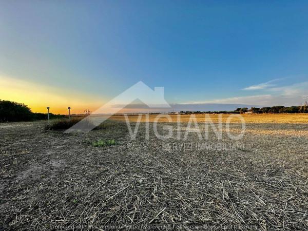 terreno agricolo in vendita a Foggia