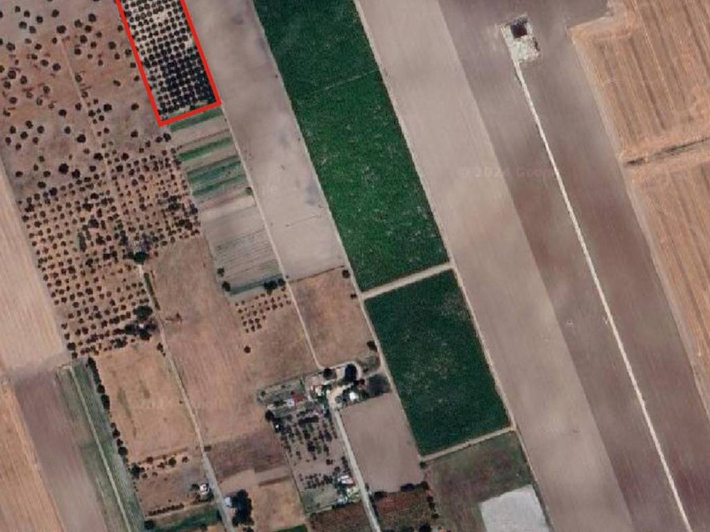 terreno agricolo in vendita a Foggia in zona Tavernola