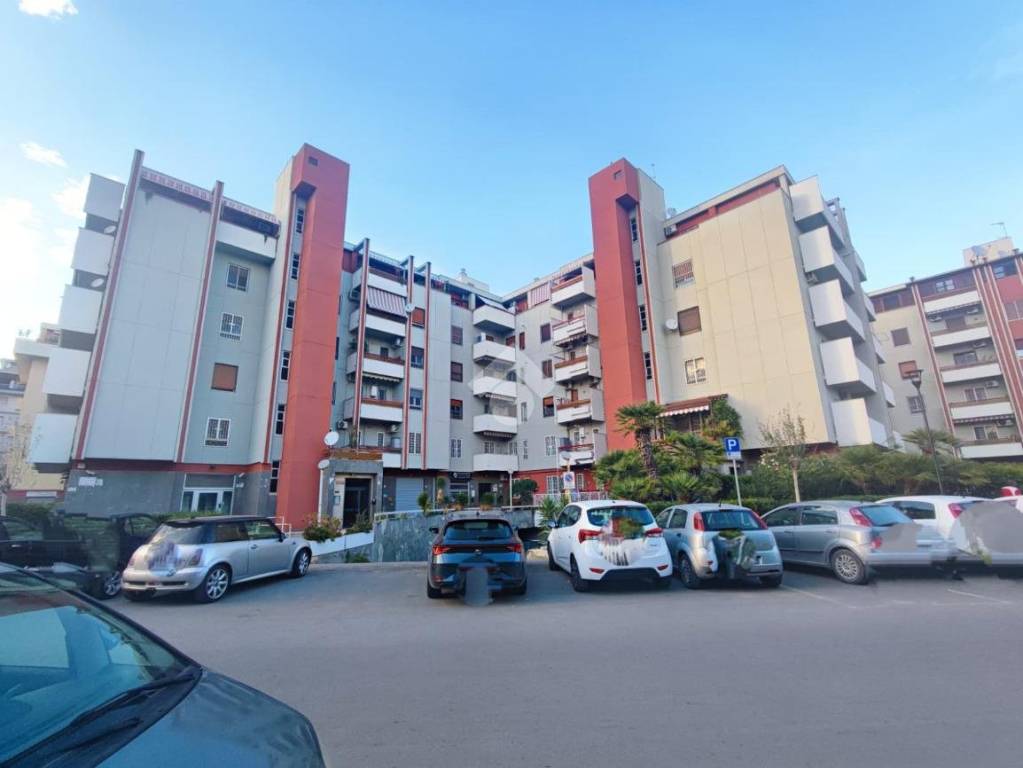 appartamento in vendita a Foggia in zona Macchia Gialla