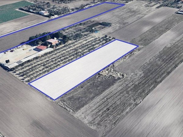 terreno agricolo in vendita a Foggia