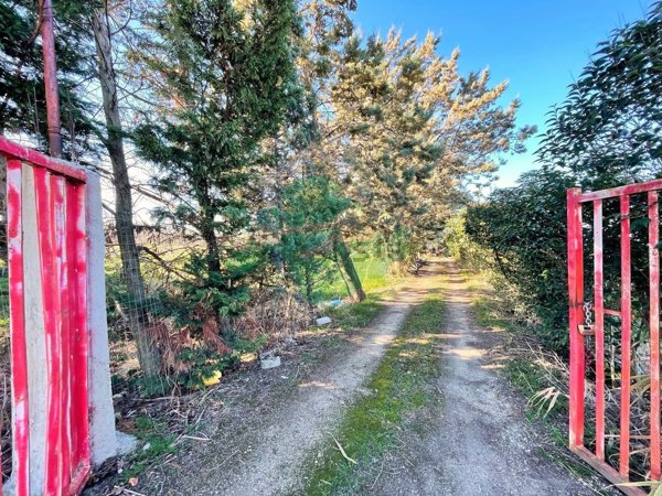 terreno agricolo in vendita a Foggia