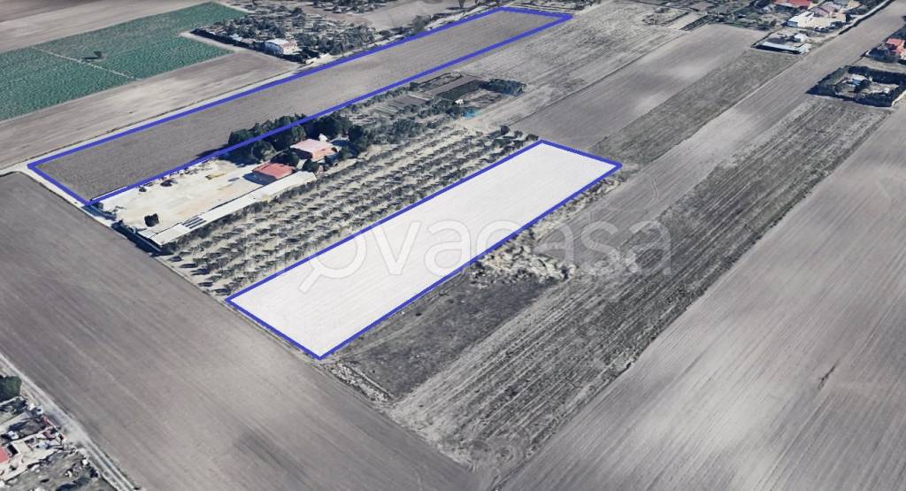 terreno agricolo in vendita a Foggia