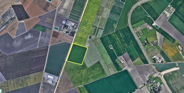 terreno agricolo in vendita a Foggia