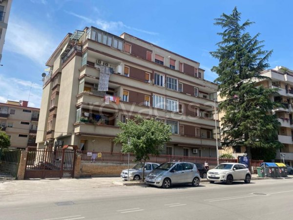 appartamento in vendita a Foggia in zona Immacolata / San Pio X