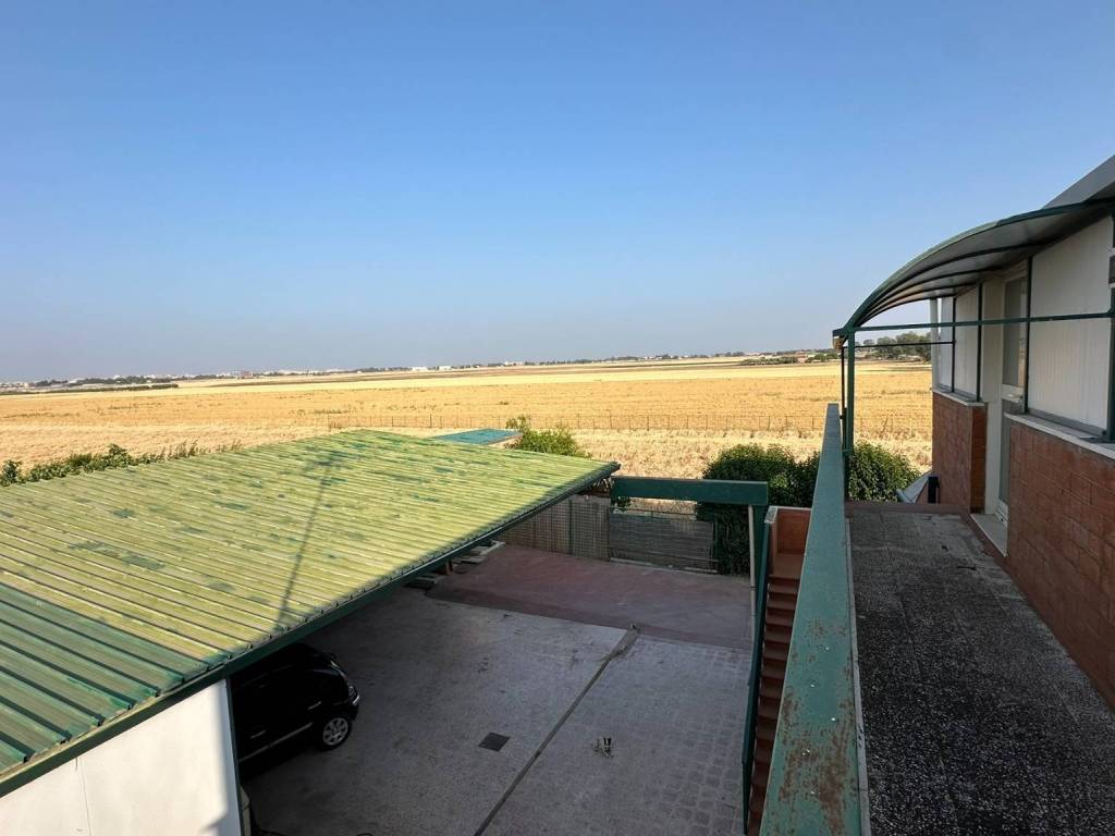 terreno agricolo in vendita a Foggia