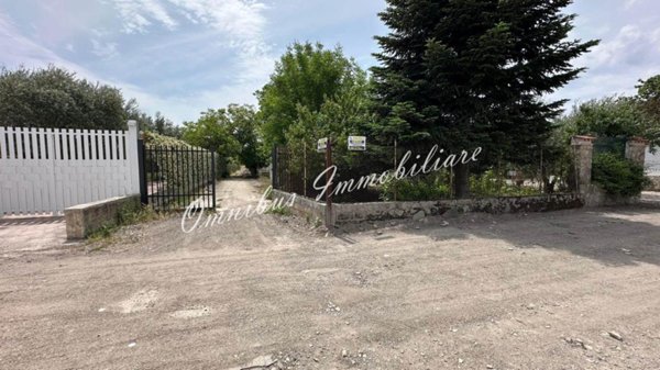 terreno agricolo in vendita a Foggia