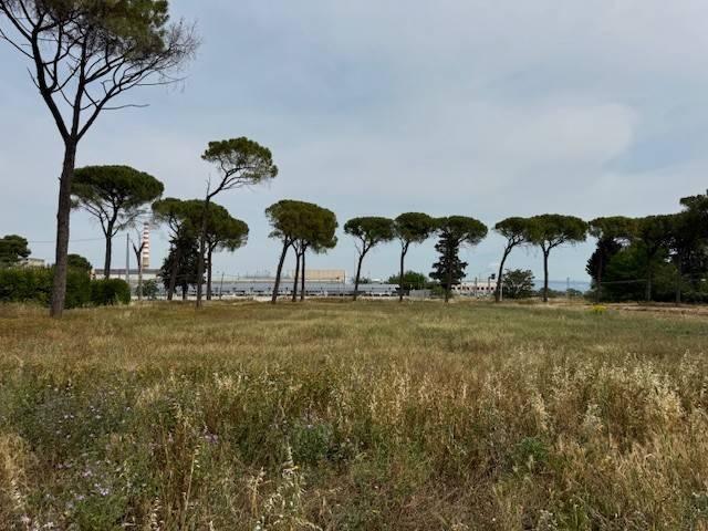 terreno agricolo in vendita a Foggia in zona Rione Diaz