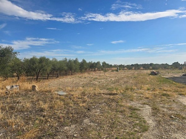 terreno agricolo in vendita a Foggia