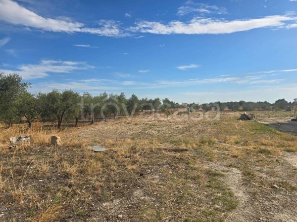 terreno agricolo in vendita a Foggia