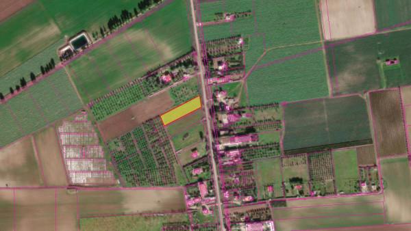 terreno agricolo in vendita a Foggia