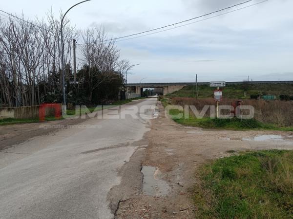terreno agricolo in vendita a Foggia