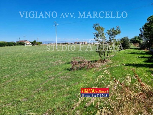 terreno agricolo in vendita a Foggia
