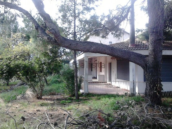 appartamento in vendita a Foggia in zona Cervaro