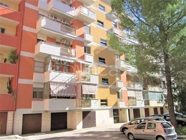 appartamento in vendita a Foggia