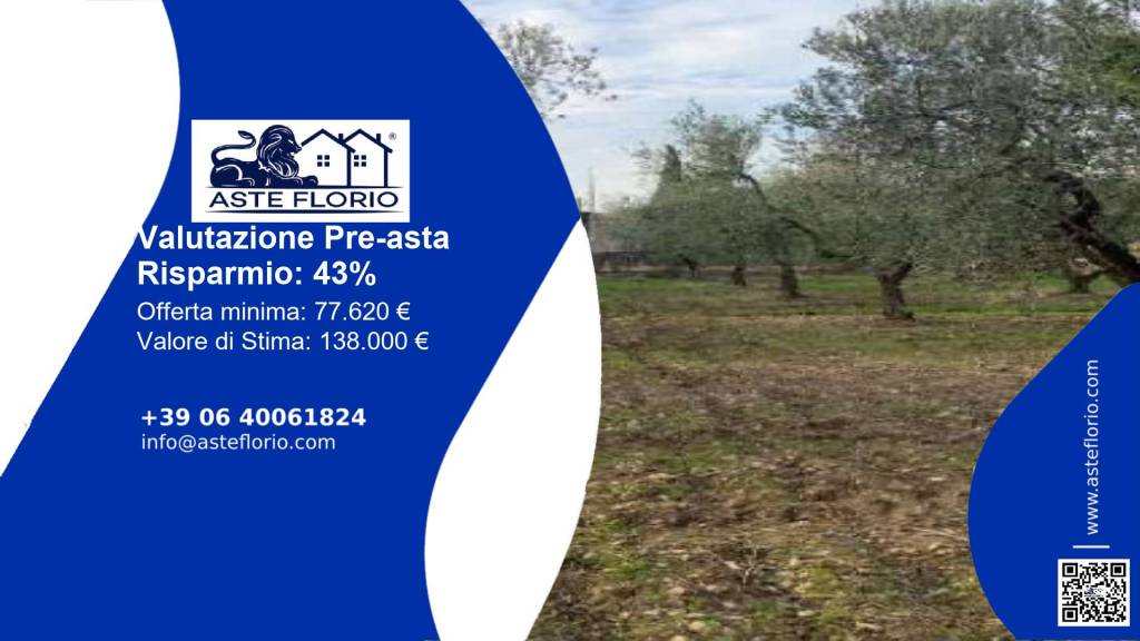 terreno agricolo in vendita a Foggia