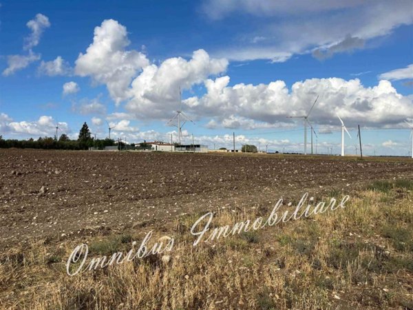 terreno agricolo in vendita a Foggia