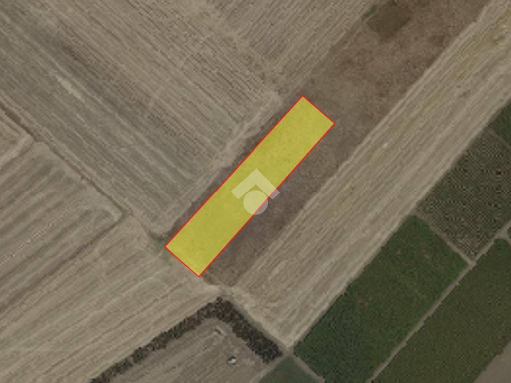 terreno agricolo in vendita a Foggia