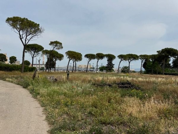 terreno agricolo in vendita a Foggia