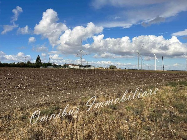 terreno agricolo in vendita a Foggia