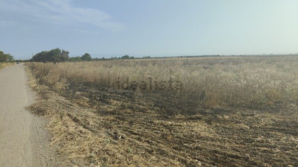 terreno agricolo in vendita a Foggia